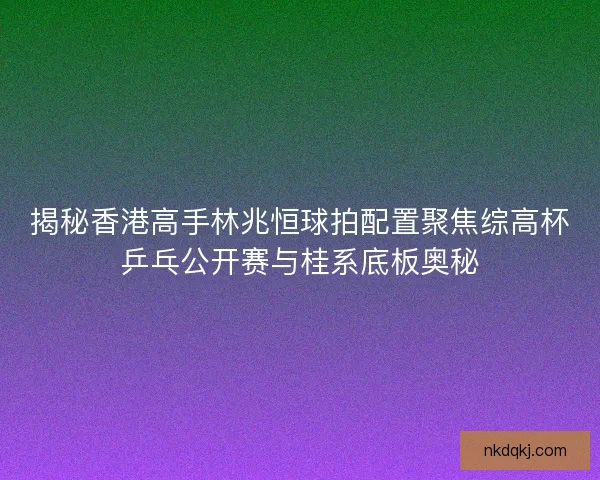 揭秘香港高手林兆恒球拍配置聚焦综高杯乒乓公开赛与桂系底板奥秘